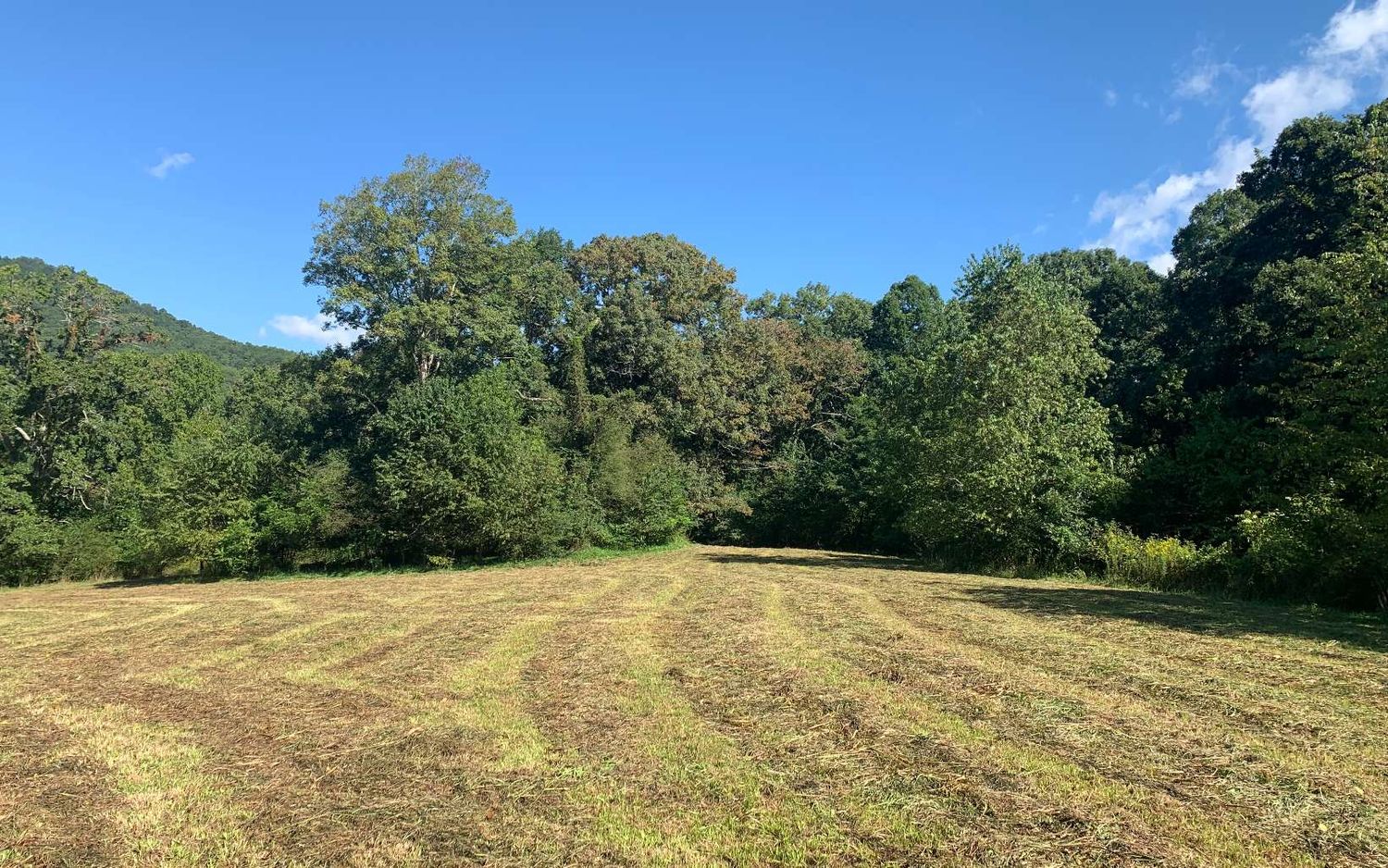 69 Hwy 64 W, Hayesville, NC 28904